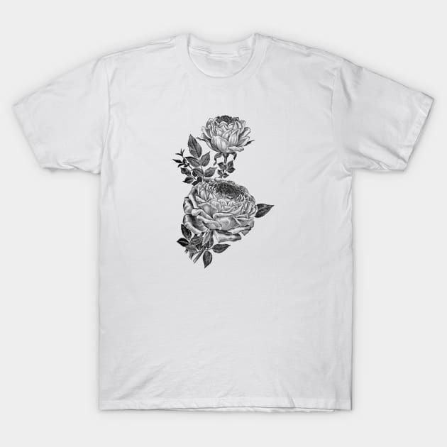 Rose Flowers Black & White Illustration T-Shirt by Biophilia